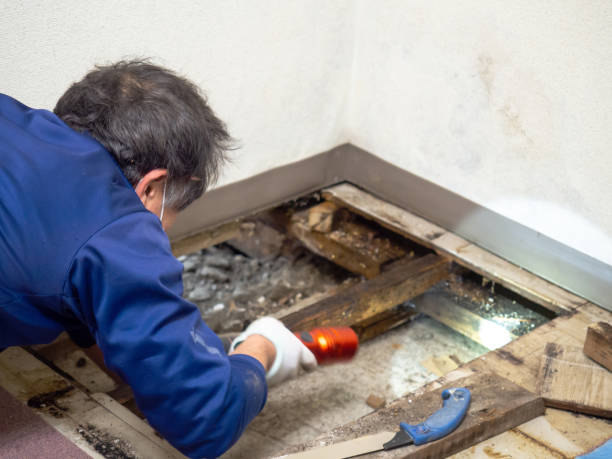 Crawl Space Mold Removal in Oak Grove, LA