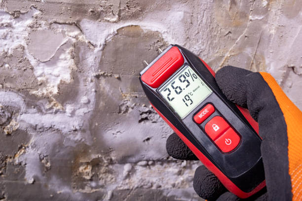 Best Professional Mold Removal  in Oak Grove, LA