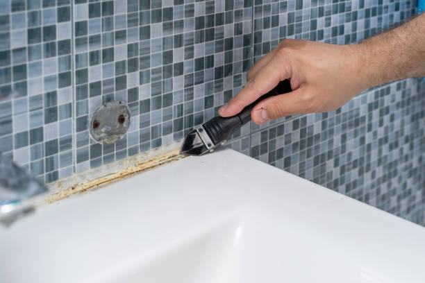Best Emergency Mold Removal  in Oak Grove, LA