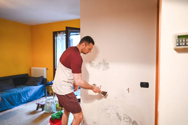 Best Crawl Space Mold Removal  in Oak Grove, LA
